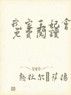 我家王妃会画符免费阅读封面