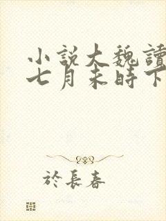 小说大魏读书人七月未时下装电子书