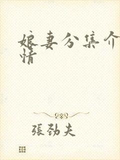 娘妻分集介绍剧情