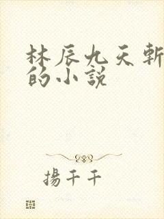 林辰九天斩神诀的小说封面