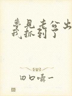 梦见老公出轨被我抓到了封面