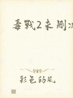 毒战2未删减版封面