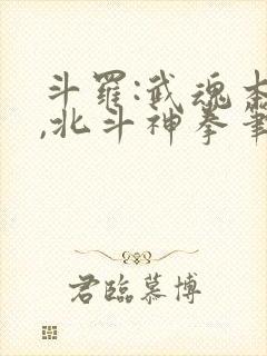 斗罗:武魂本体,北斗神拳笔趣阁