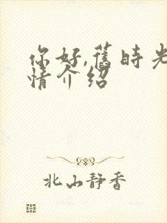 你好,旧时光剧情介绍封面