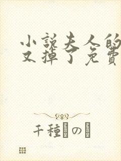 小说夫人的马甲又掉了免费阅读