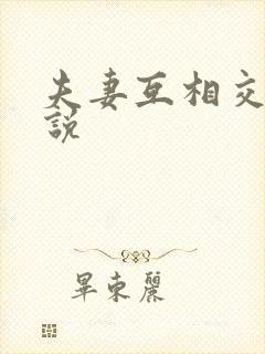 夫妻互相交换小说封面