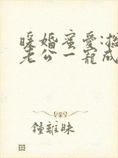 暖婚蜜爱:总裁老公一宠成瘾小说