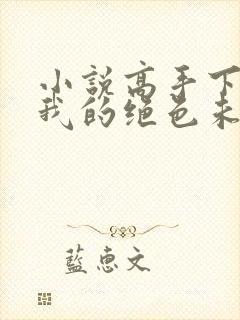 小说高手下山:我的绝色未婚妻下载