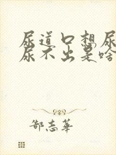 尿道口想尿其实尿不出是啥病