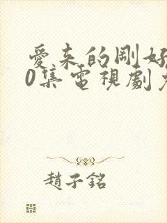 爱来的刚好第60集电视剧免费观看封面