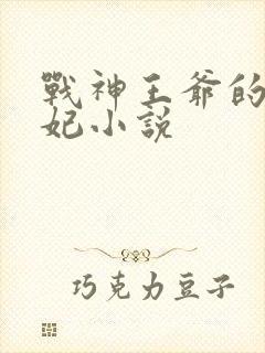 战神王爷的小医妃小说