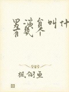 男演员叫什么文有几个