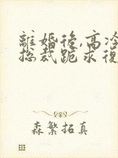 离婚后,高冷女总裁跪求复婚封面