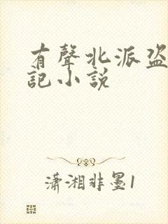 有声北派盗墓笔记小说