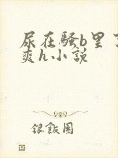 尿在骚b里了好爽h小说