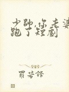 少帅,你老婆又跑了短剧