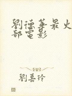 刘德华最火的十部电影