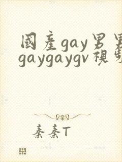 国产gay男男gaygaygv视频
