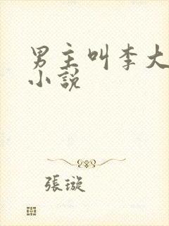 男主叫李大川的小说封面