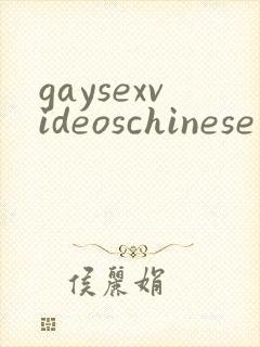 gaysexvideoschinese