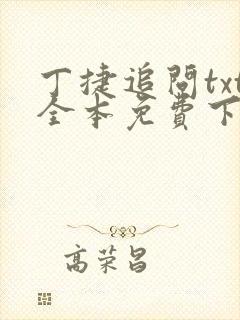 丁捷追问txt全本免费下载封面