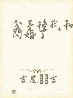 分手后我和首富闪婚了封面