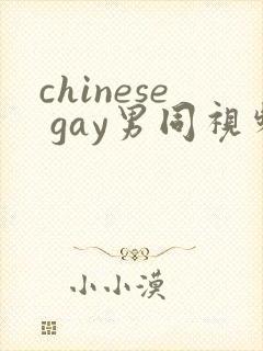 chinese gay男同视频网站封面