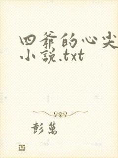 四爷的心尖宠妃小说.txt