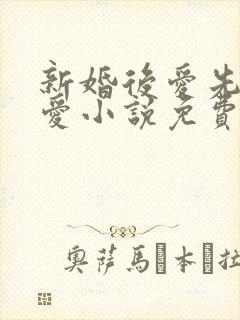 新婚后爱先孕后爱小说免费阅读