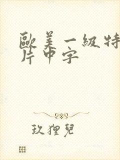 欧美一级特黄大片中字