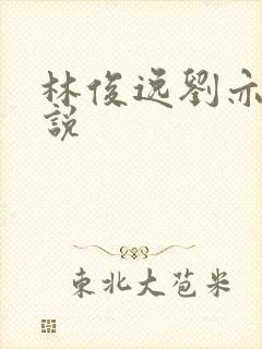 林俊逸刘亦菲小说