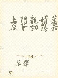 上门龙婿叶辰叶辰萧初然最新封面