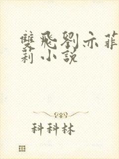 双飞刘亦菲刘晓莉小说