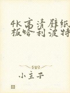 4k高清壁纸平板哈利波特