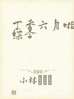 丁香六月啪激情综合