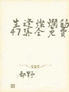 生逢灿烂的日子47集全免费观看