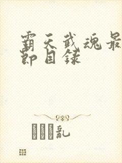 霸天武魂最新章节目录封面