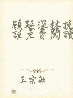 顾延深林挽音小说免费阅读最新章节