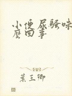 小便尿骚味大怎么回事