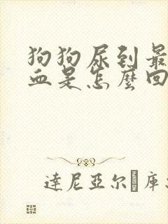 狗狗尿到最后尿血是怎么回事