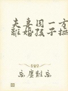 夫妻因一方出轨离婚孩子抚养权怎么判定