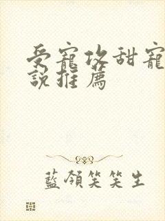 受宠攻甜宠文小说推荐