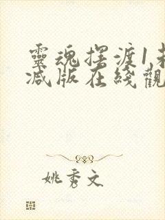 灵魂摆渡1未删减版在线观看