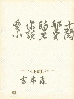 爱你的那十一年小说免费阅读