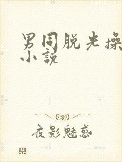 男同脱光操屁眼小说