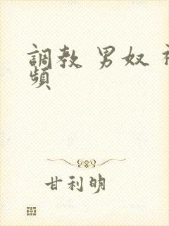 调教 男奴 视频封面