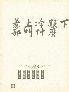 惹上冷殿下第二部叫什么