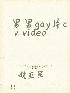 男男gay片cⅴvideo