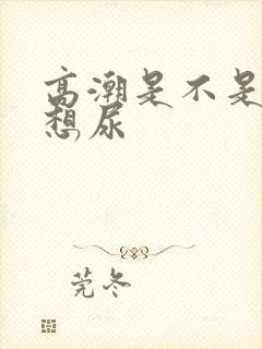 高潮是不是就是想尿