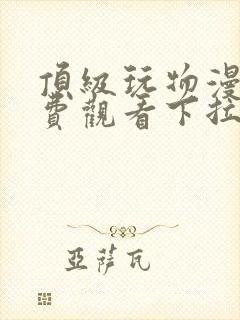 顶级玩物漫画免费观看下拉式